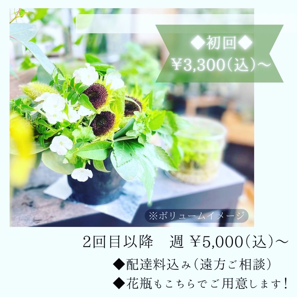 定期装花のお知らせ（初回¥3,300）